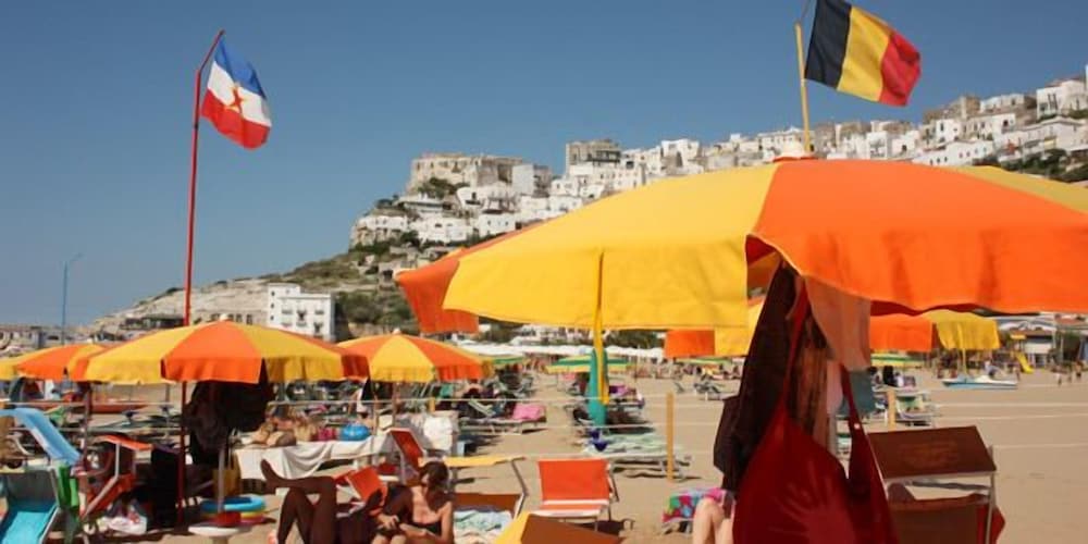 Фото Hotel Orchidea