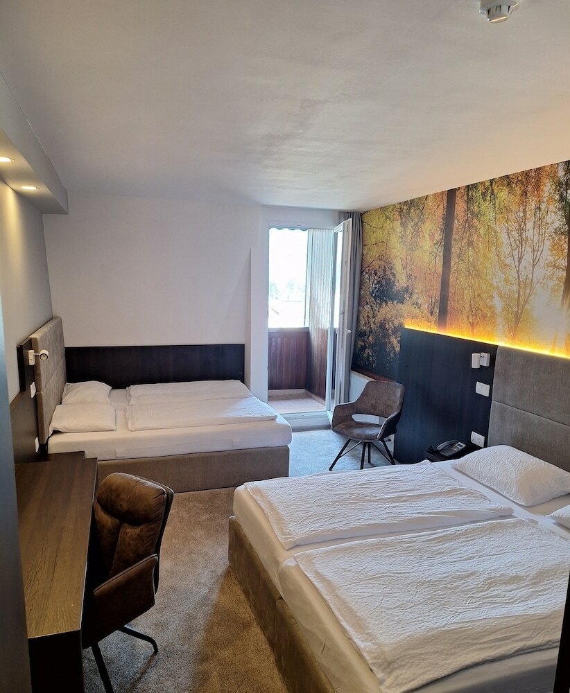 Фото Hotel Alpina