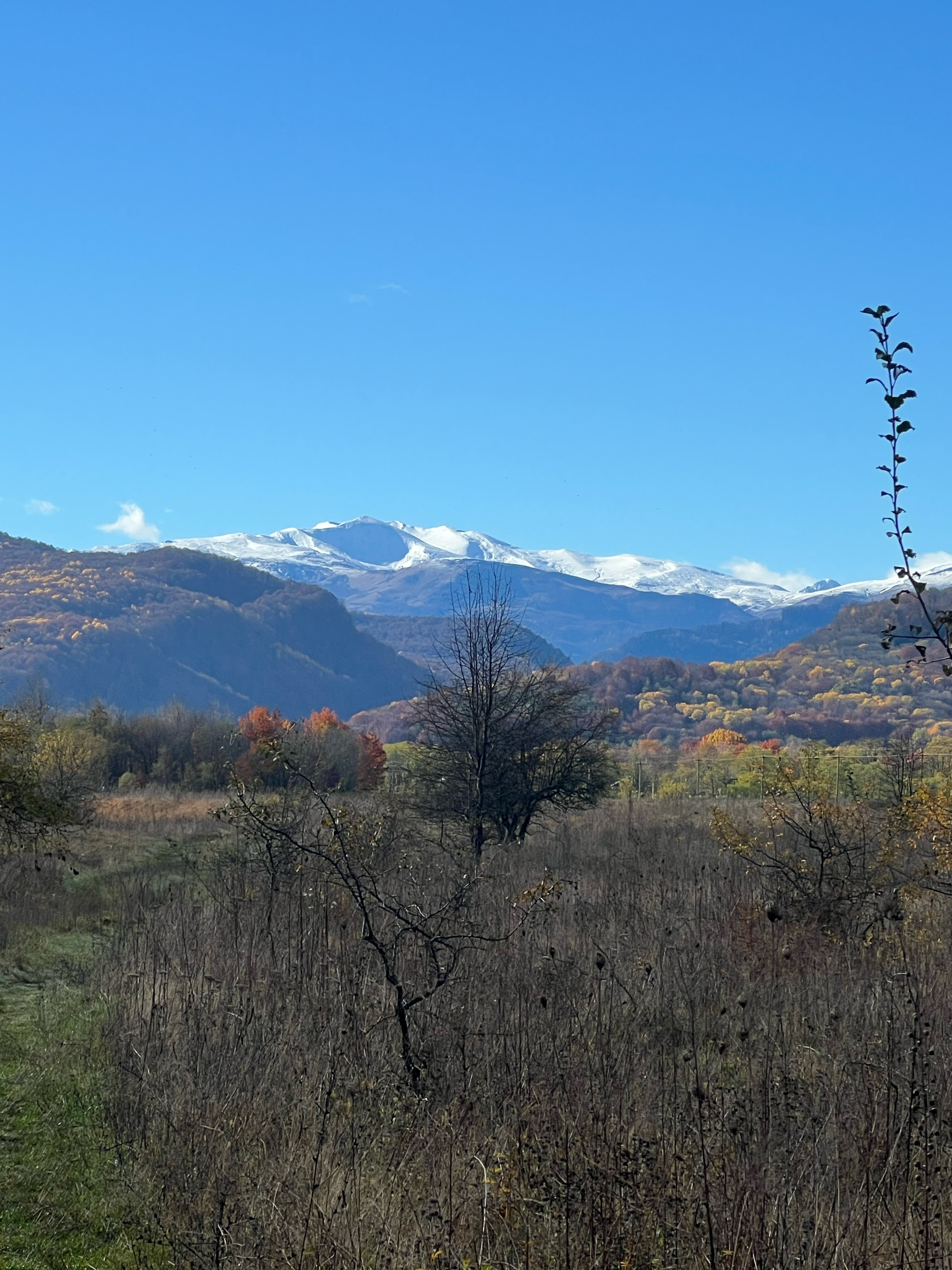 Фото Компас