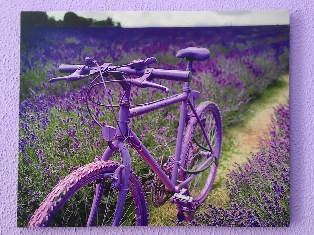 Фото City Life Rome