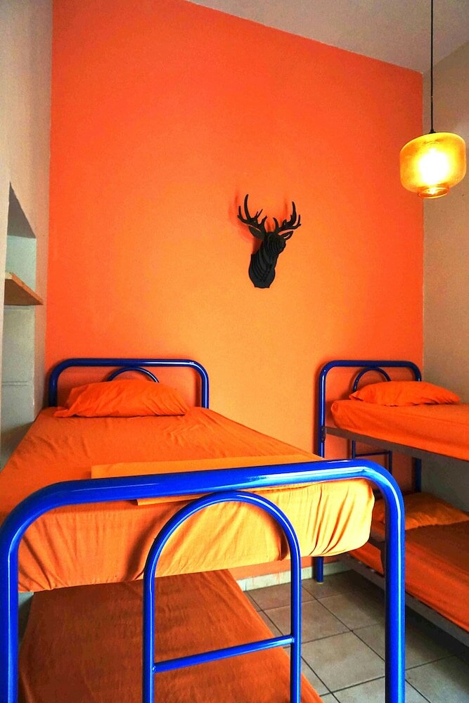 Фото Blue Pepper Hostel & Bar