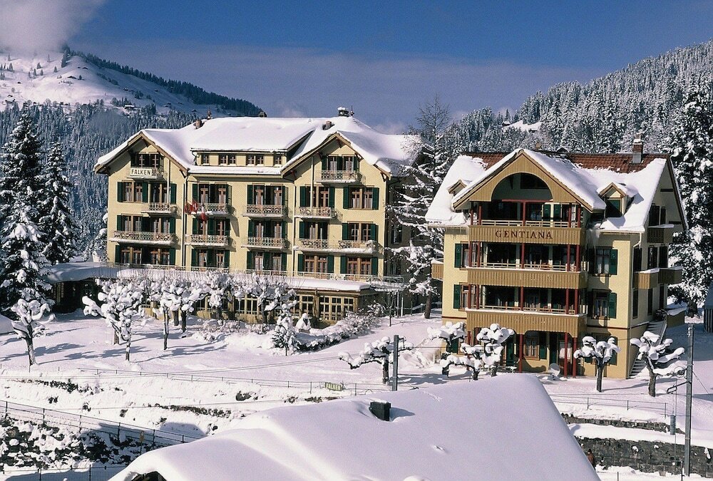 Фото Hotel Falken