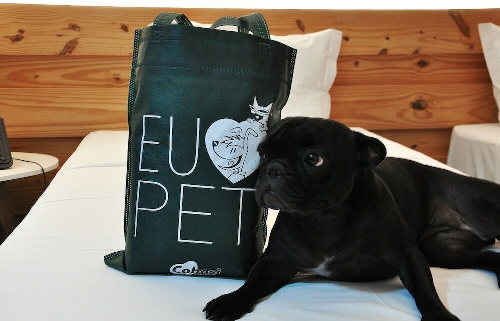 Фото Transamerica Executive Fernandópolis