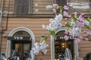 Гостиница Hotel Des Artistes Roma