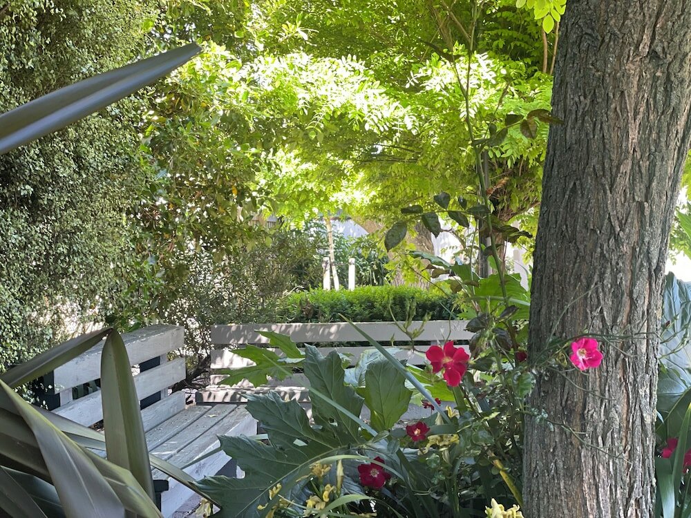 Фото Ashleigh Court Motel