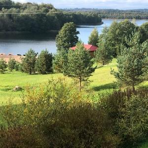 Фото Лесная гавань