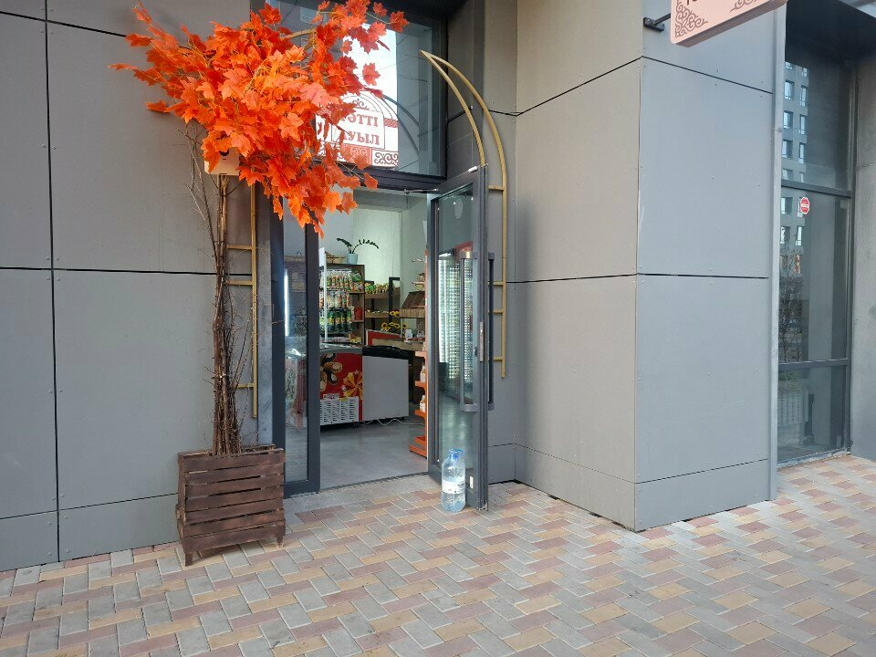 Grocery Tatti Aul, Astana, photo