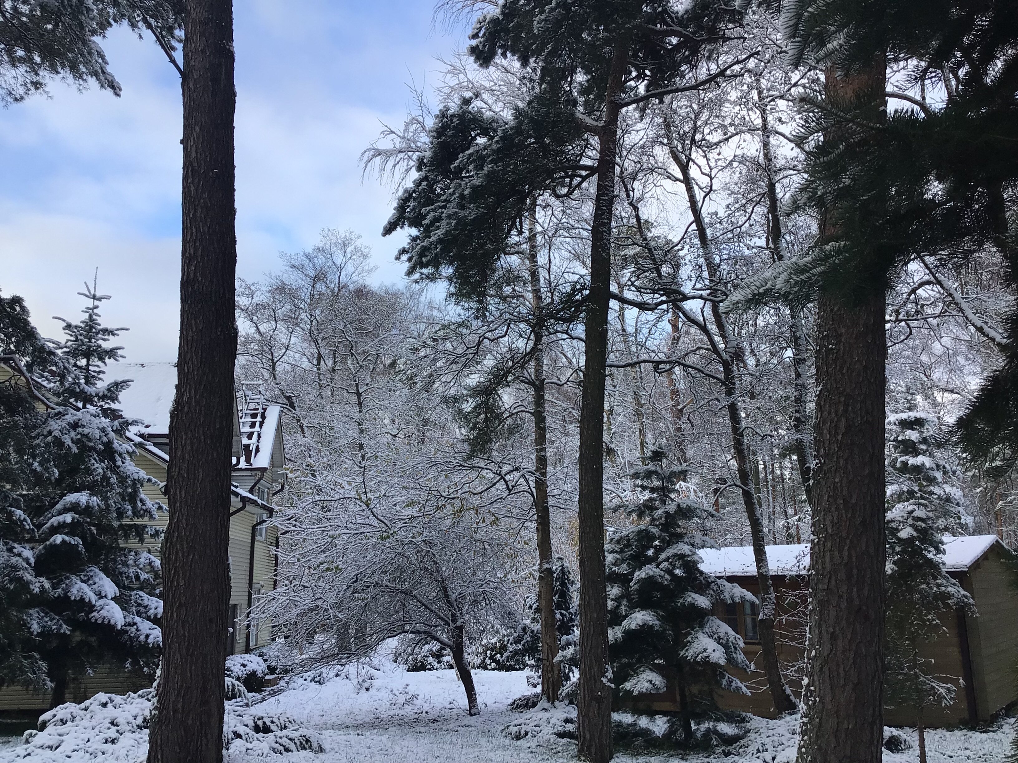 Фото ВитТех