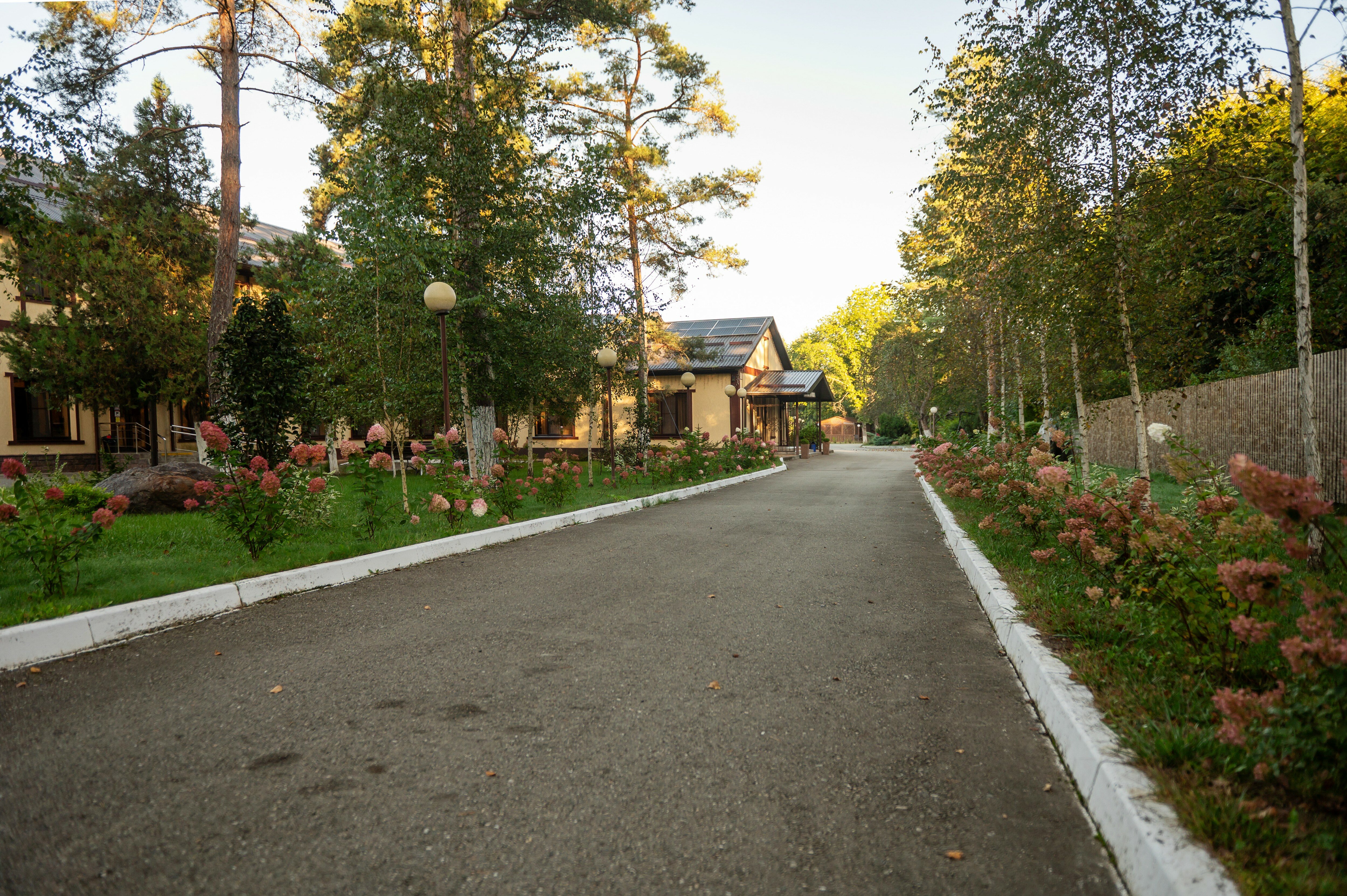 Фото Павлова поляна