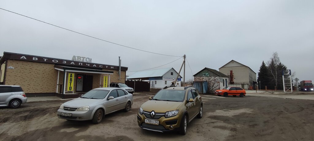 Магазин автозапчастей и автотоваров Автозапчасти, Рязанская область, фото