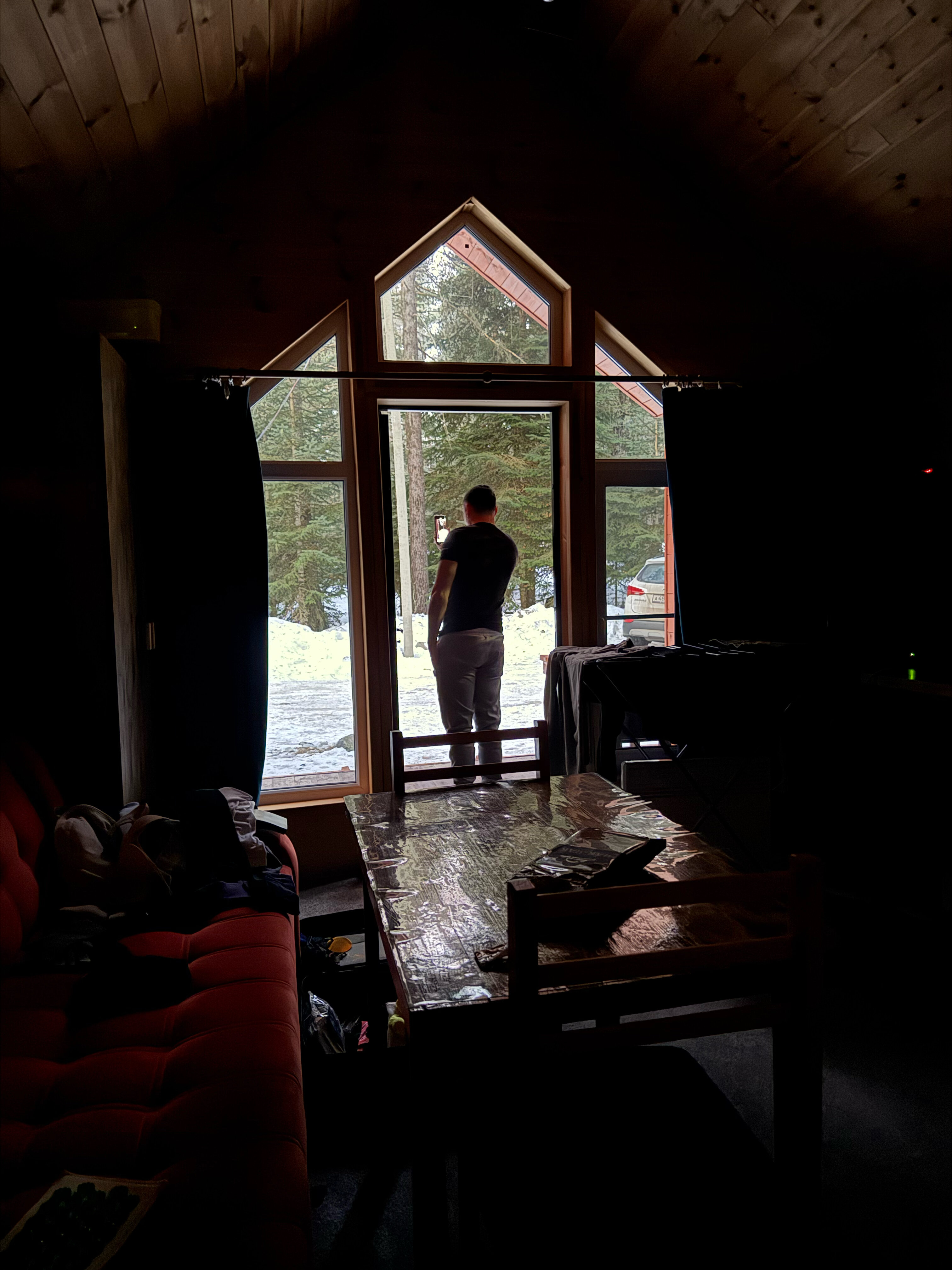 Фото Белый волк