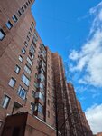 Просвещения 46 (Prosvescheniya Avenue, 46к1), business center