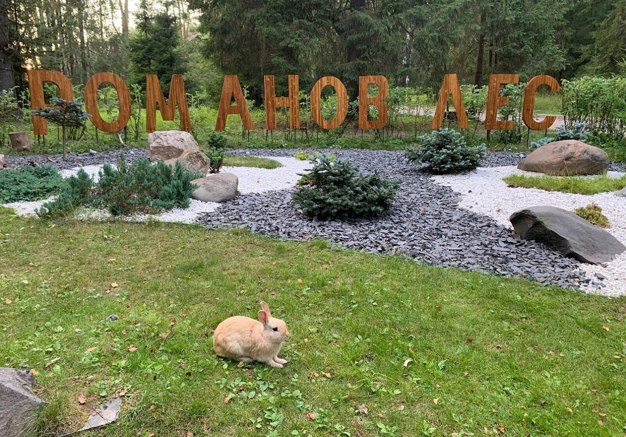 Фото Романов лес