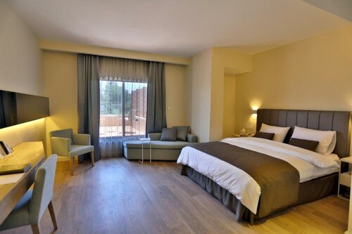 Гостиница ALQasr Metropole Hotel в Аммане