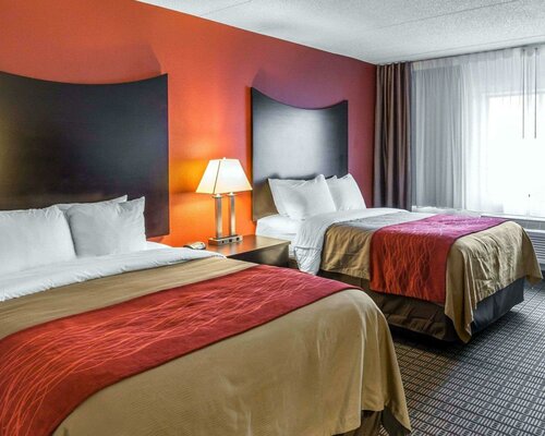 Гостиница Comfort Inn & Suites Bwi Airport