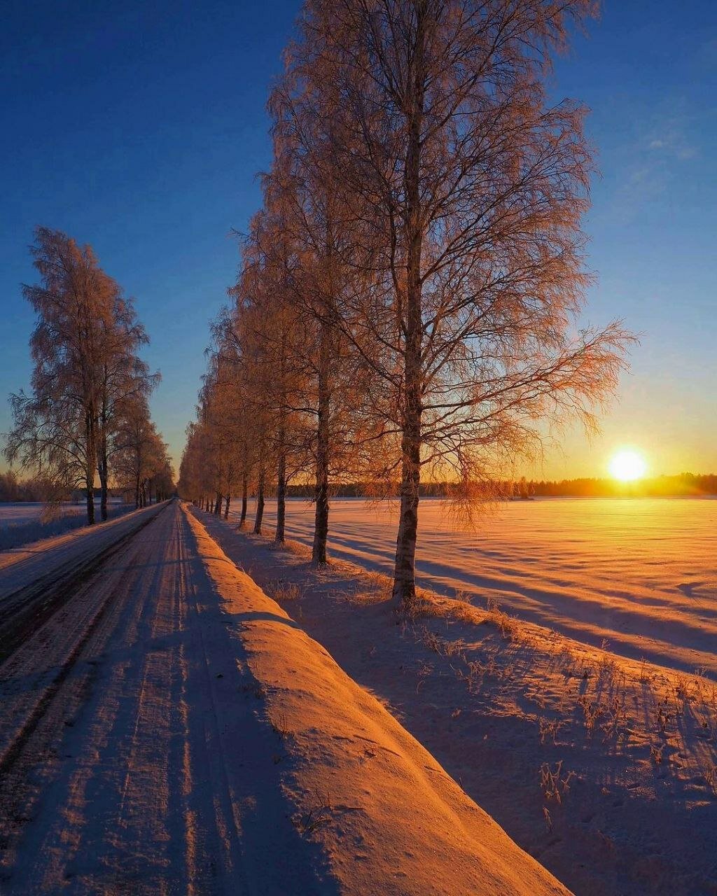 Фото Шервуд