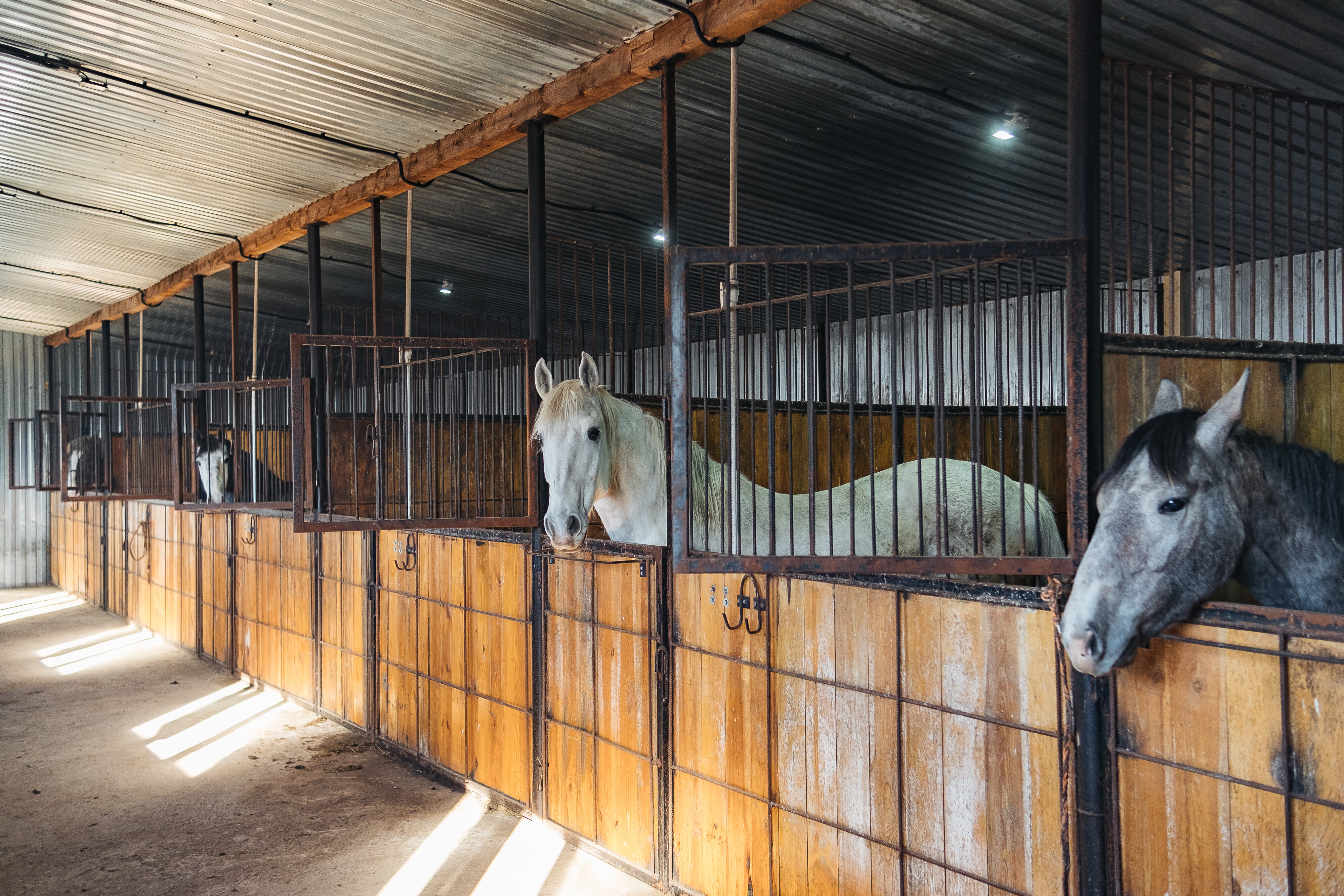 Фото Эко Усадьба Охотничья заимка