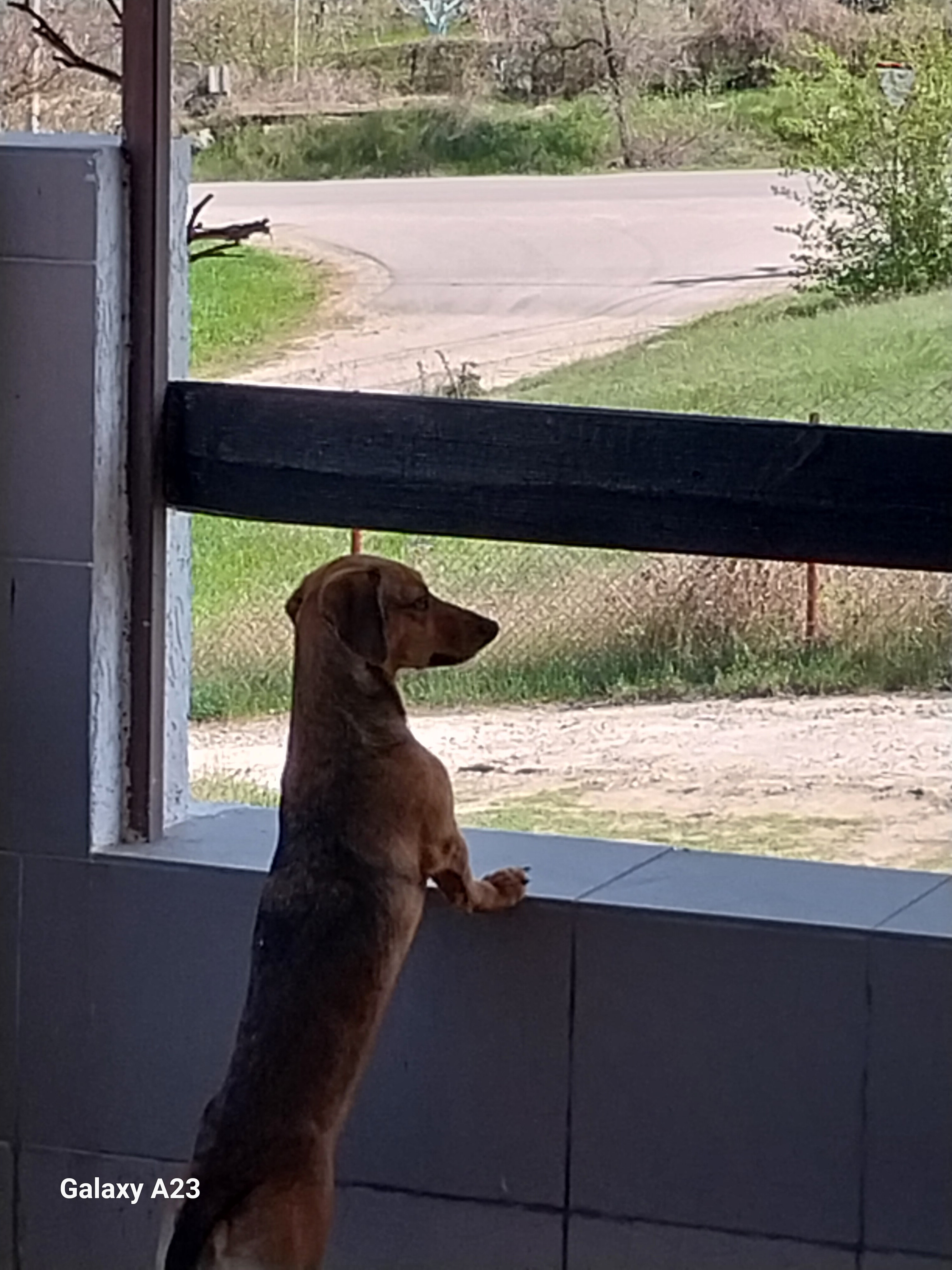 Фото Эллада крымская