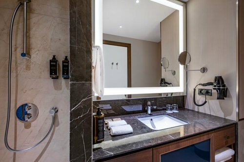 Гостиница Tbilisi Philharmonic Hotel by Mercure в Тбилиси