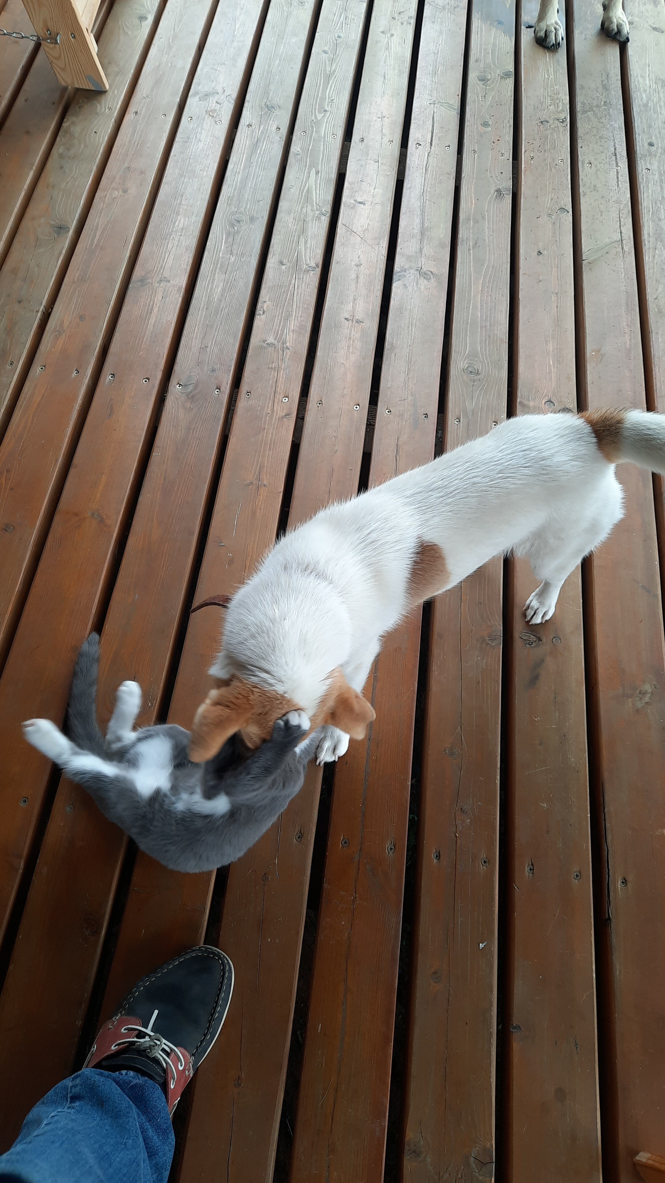 Фото Территория гостеприимства Рогачиха