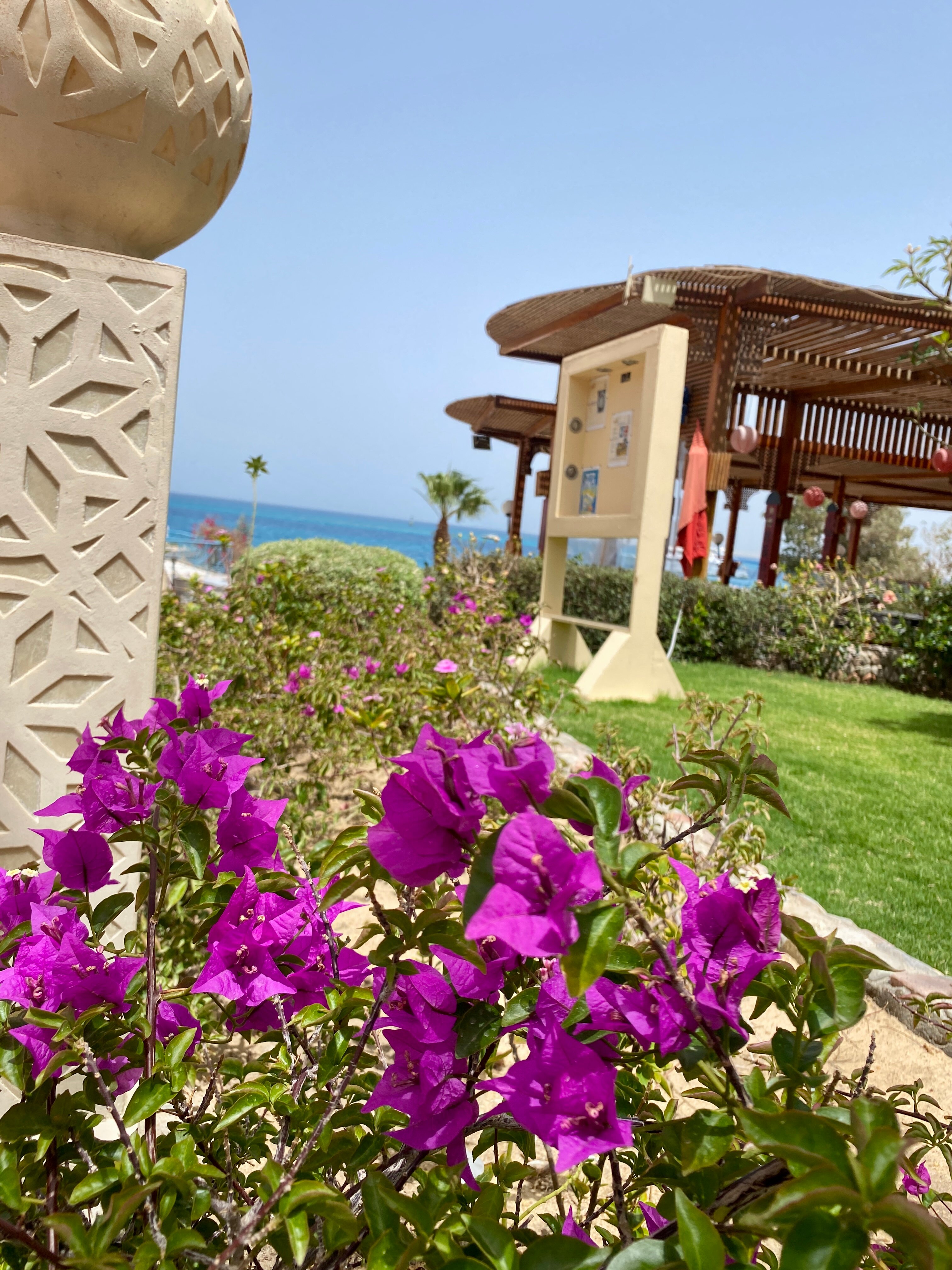 Фото King Tut Aqua Park Beach Resort