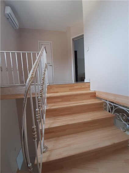 Фото Чемпион