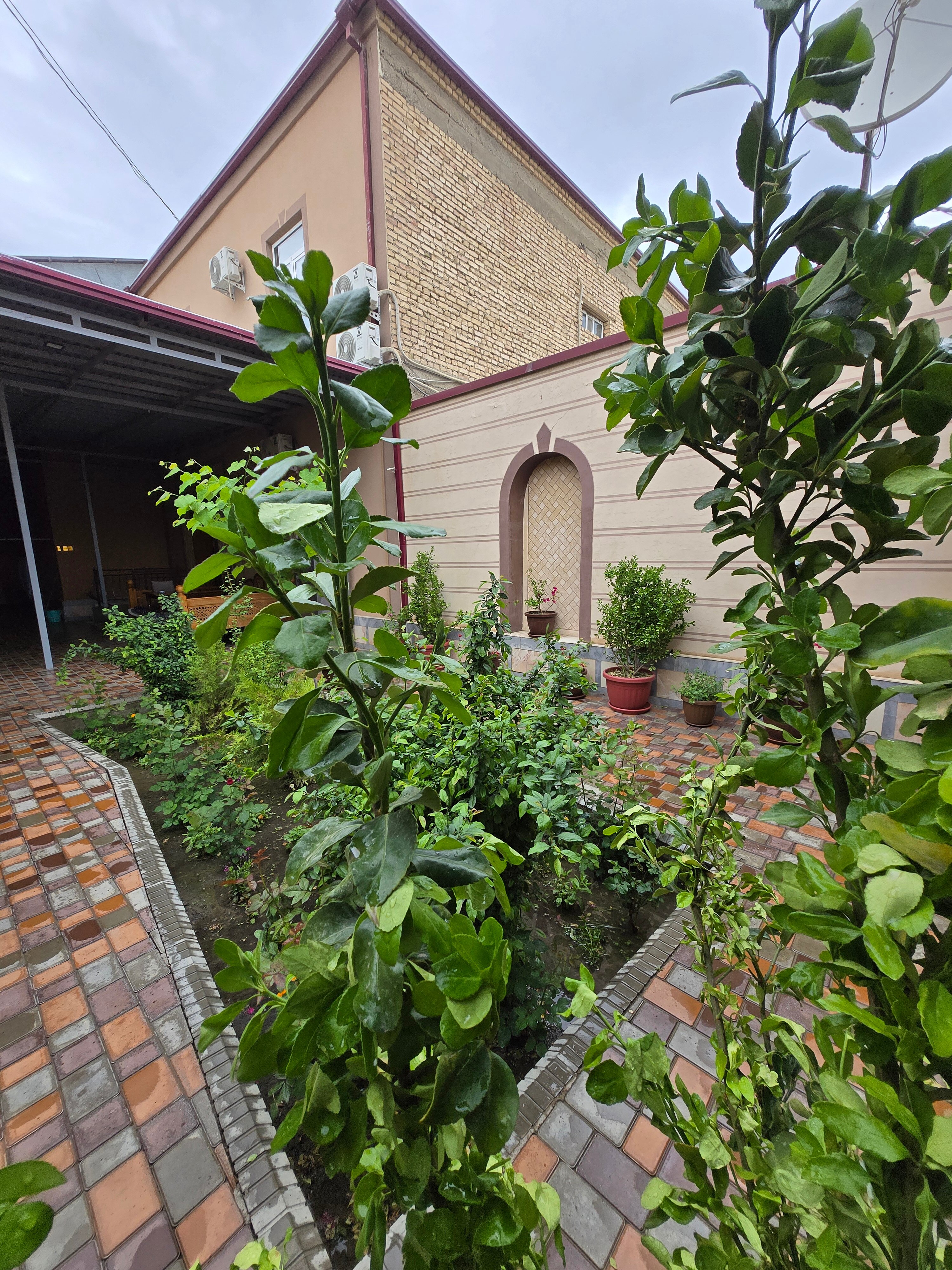 Фото 16309779532