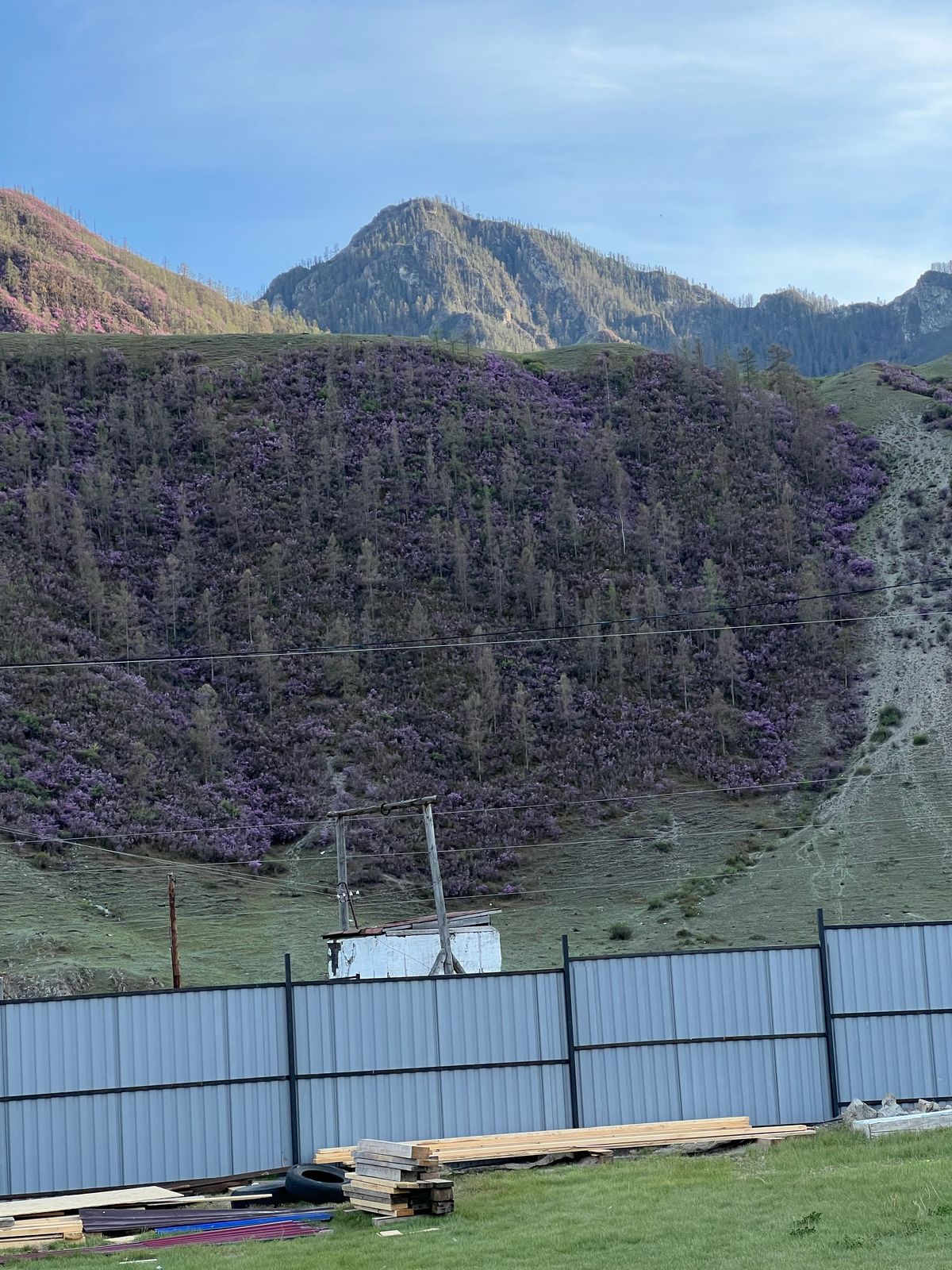 Фото Байлык