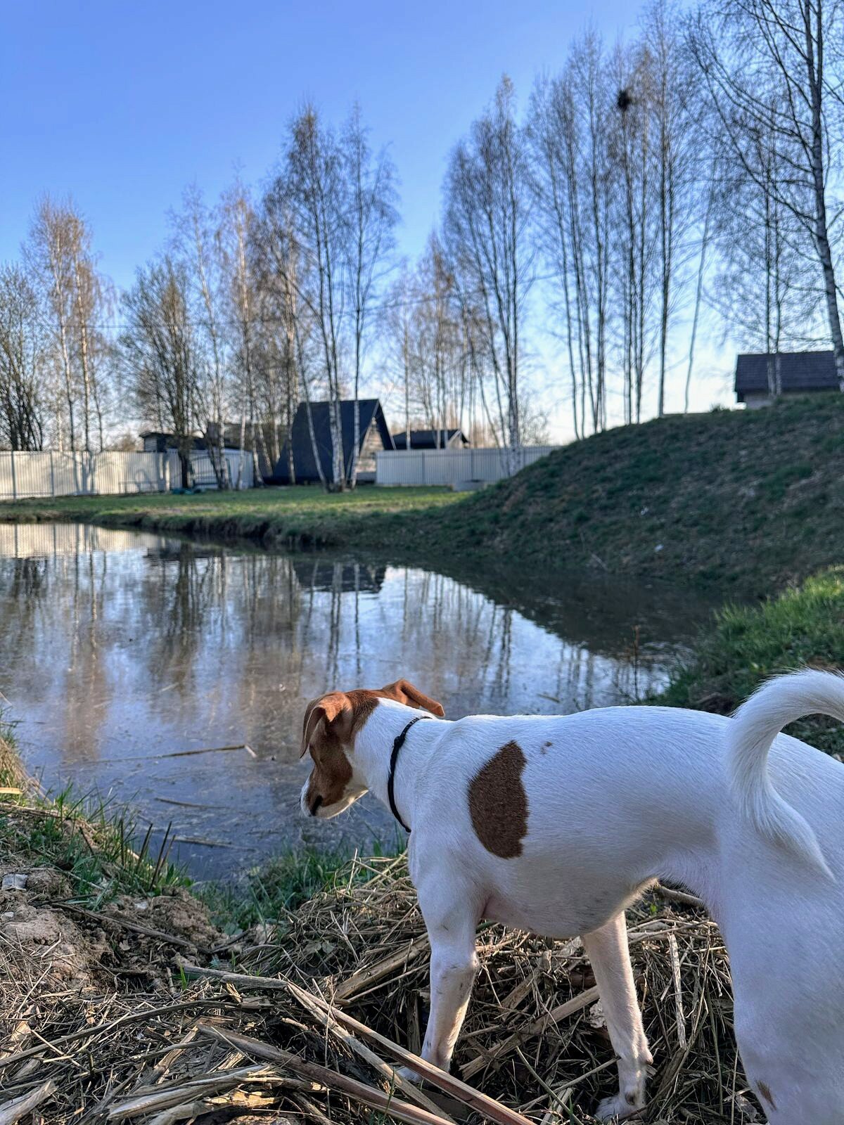 Фото Берёзовка