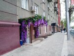 May be flowers? (Krasniy Avenue, 14) ، محل زهور