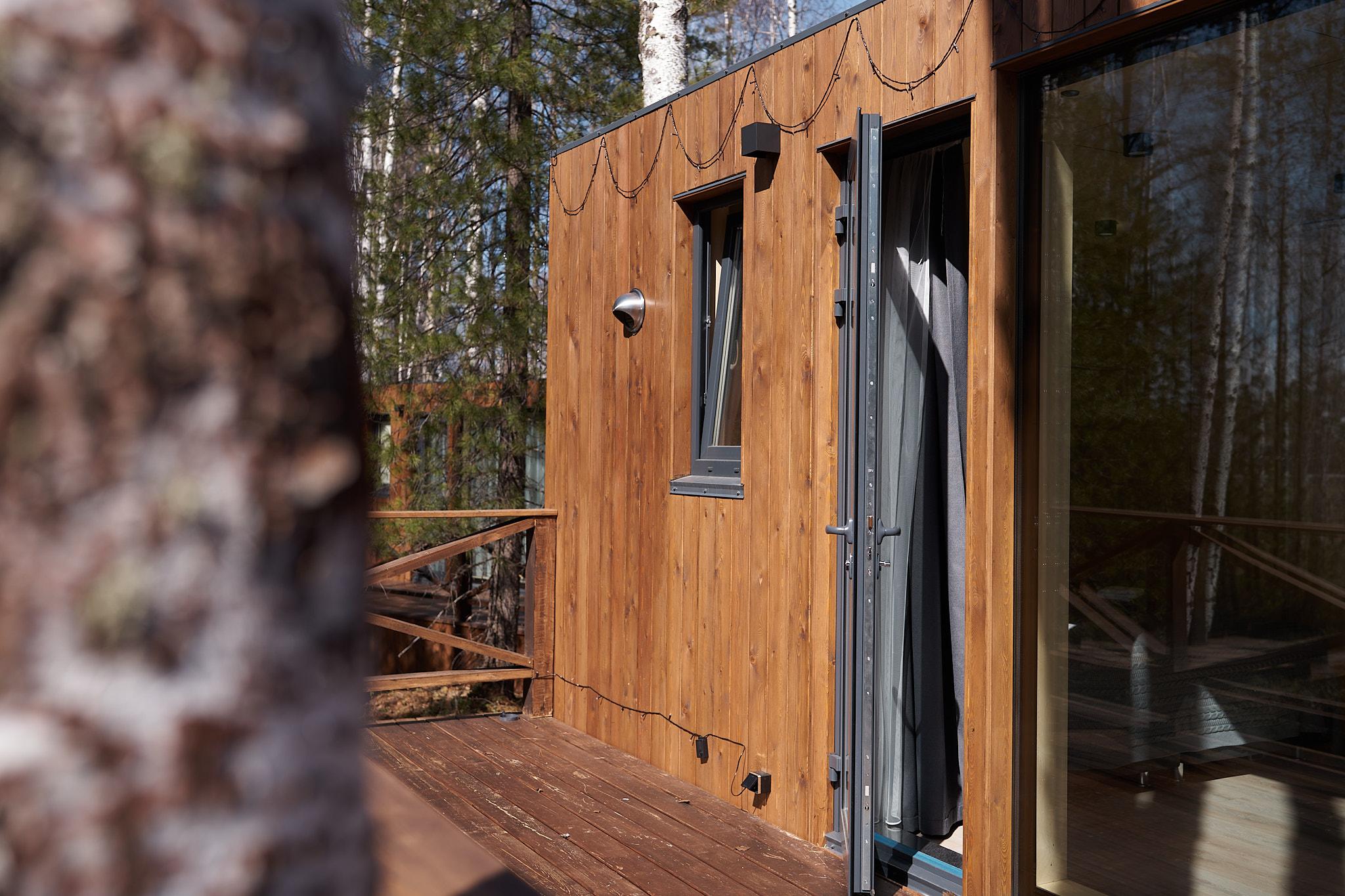 Фото Снежные Гуси