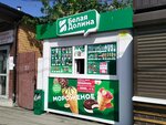 Белая Долина (prospekt Entuziastov, 20В/1), ice cream