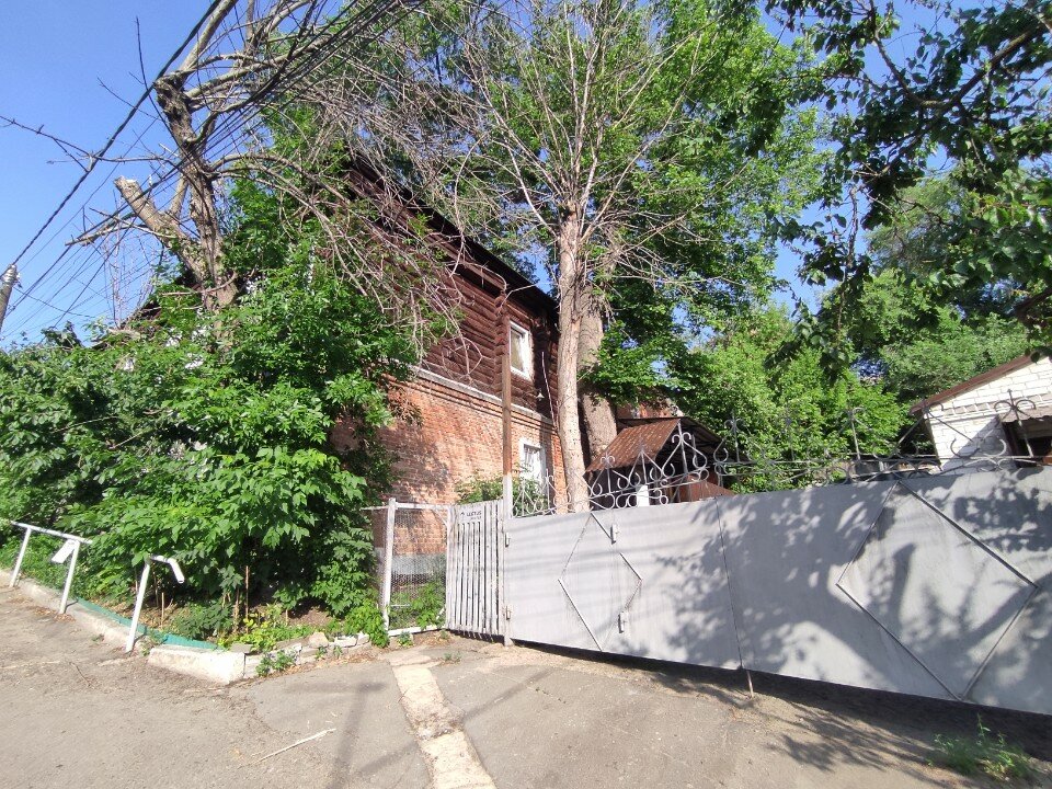 Фото Лектус