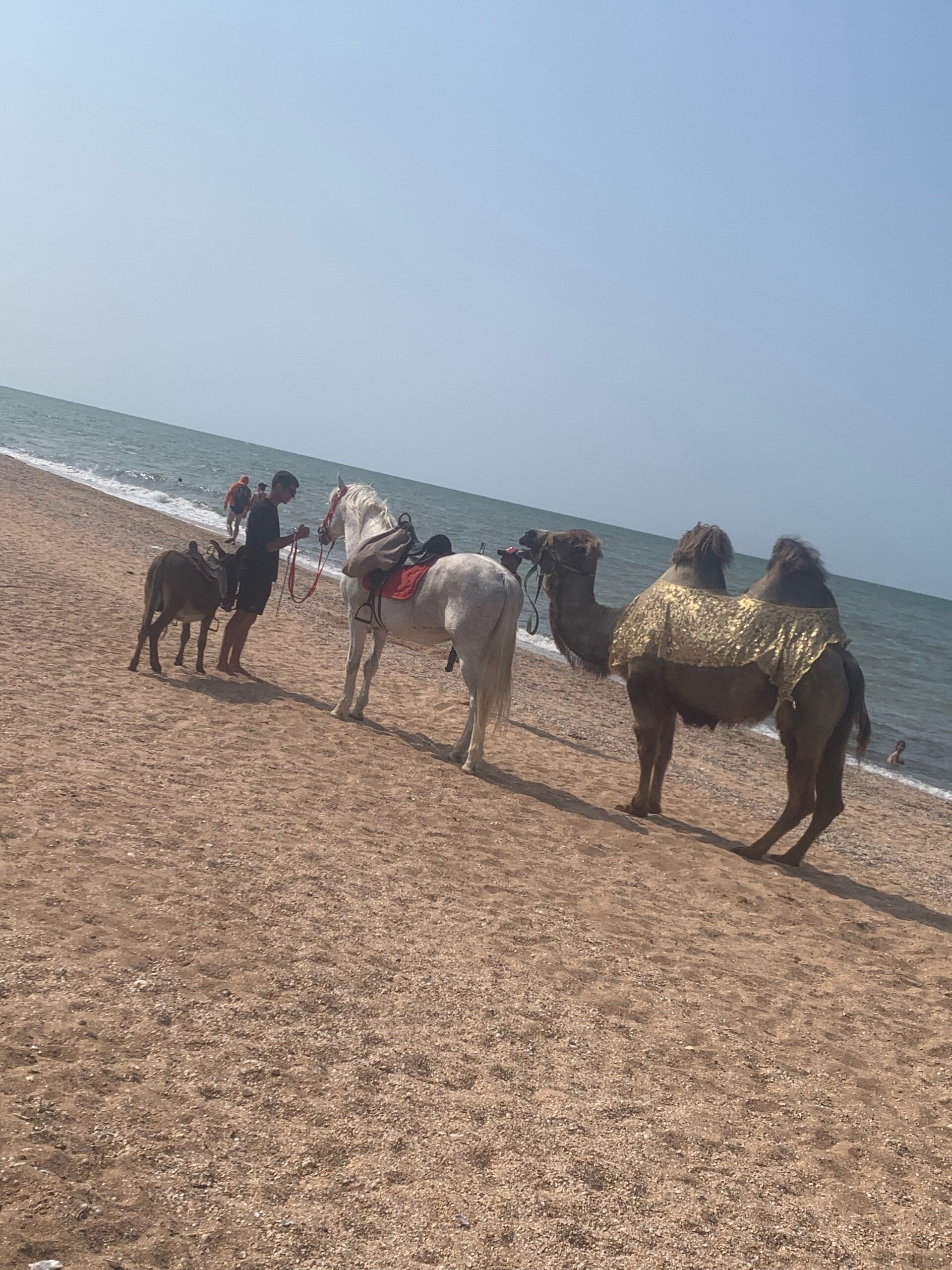 Фото Усадьба