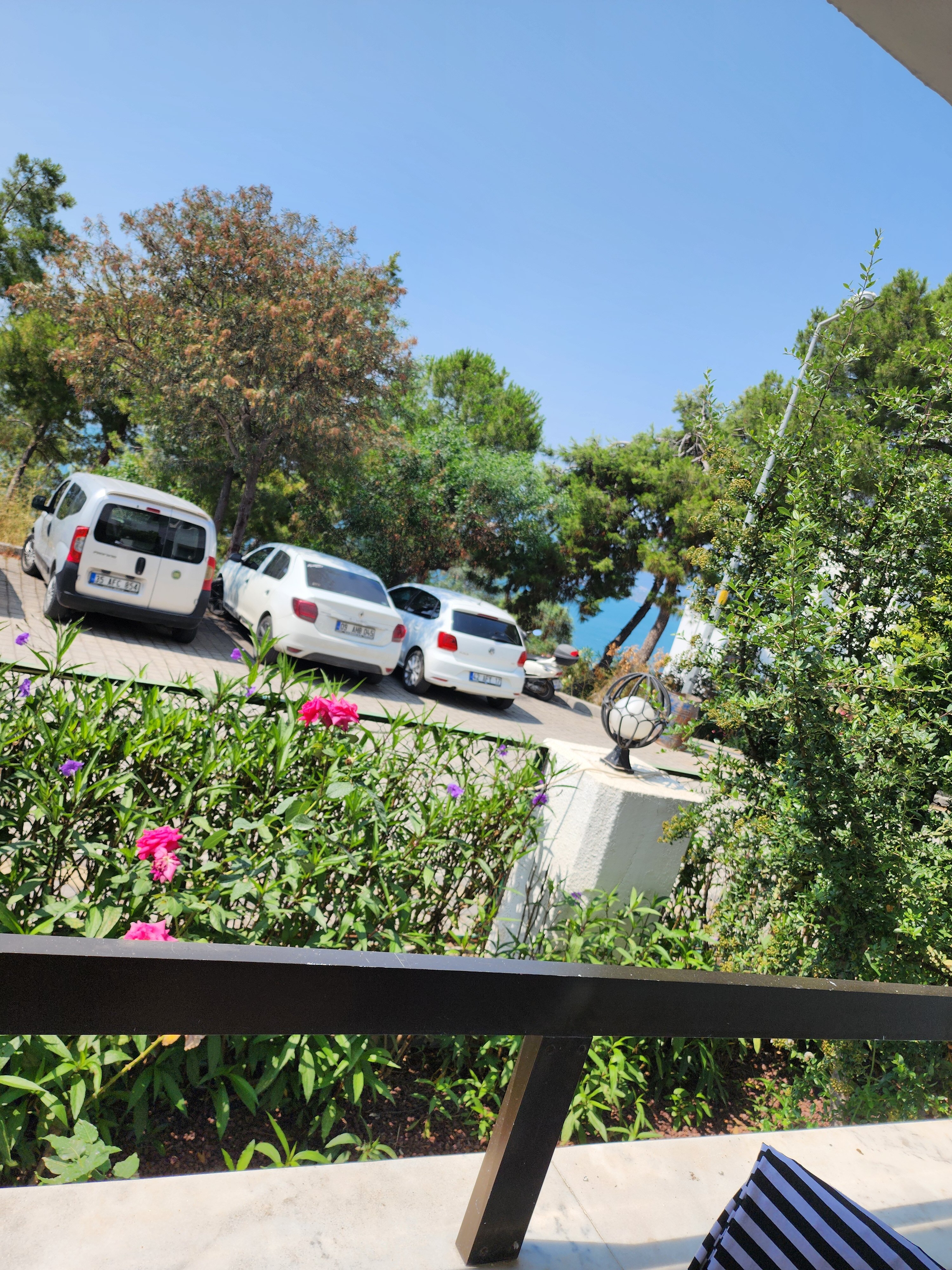 Фото Ikont Hotel