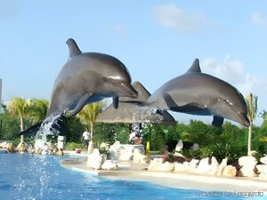 Гостиница Hotel Imperial las Perlas