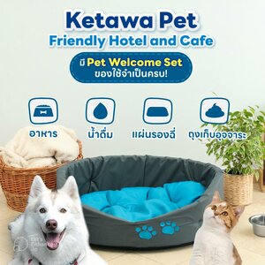 Гостиница Ketawa Pet Friendly Hotel