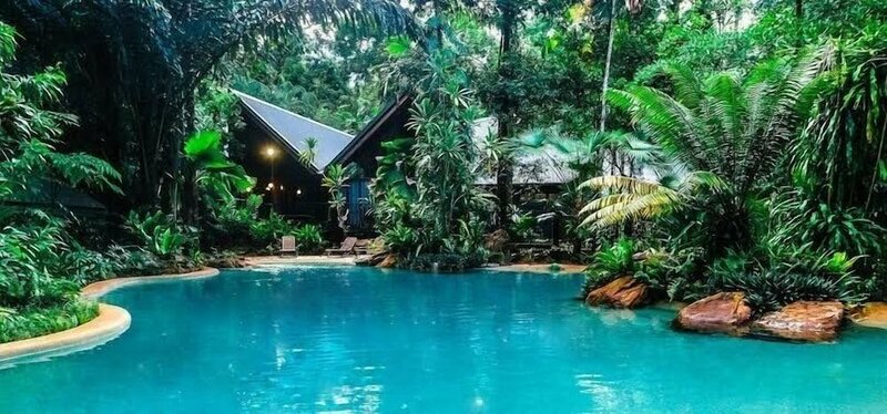 Гостиница Ferntree Rainforest Lodge