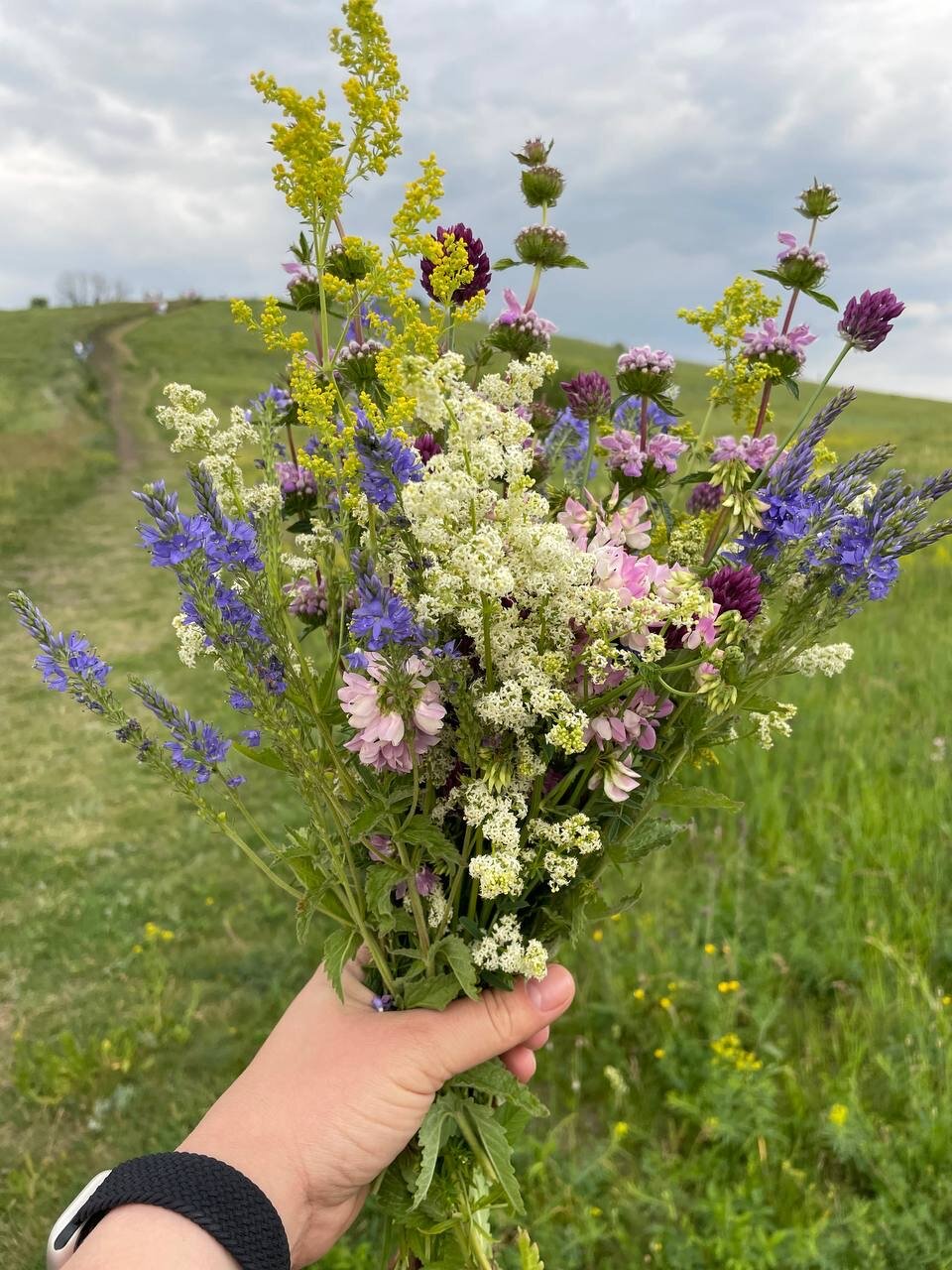 Фото 3А Задонск М4