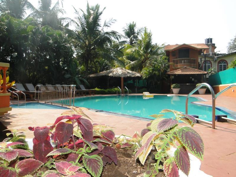 Фото Ruffles Beach Resort