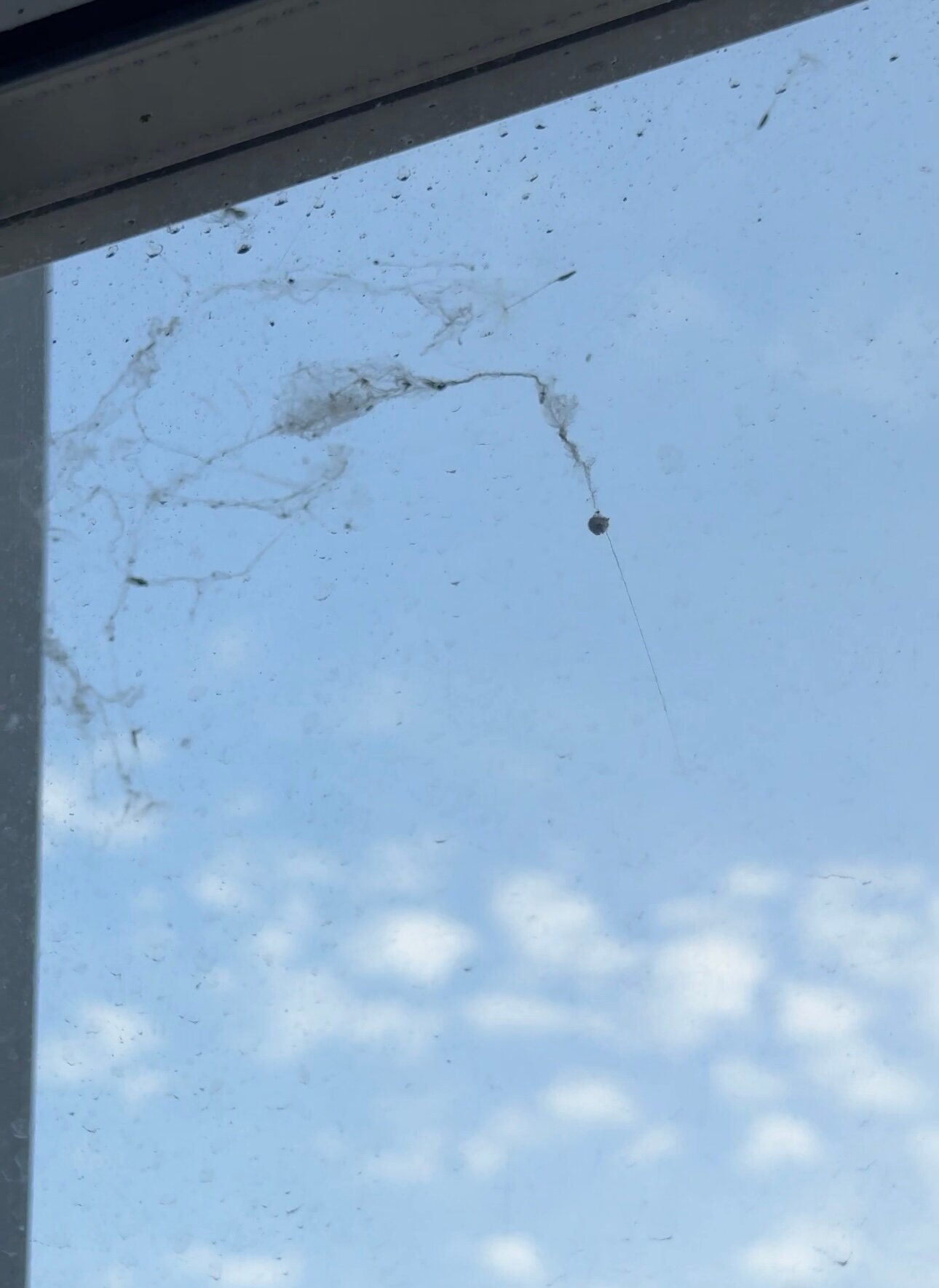 Фото HollidayInnPskov