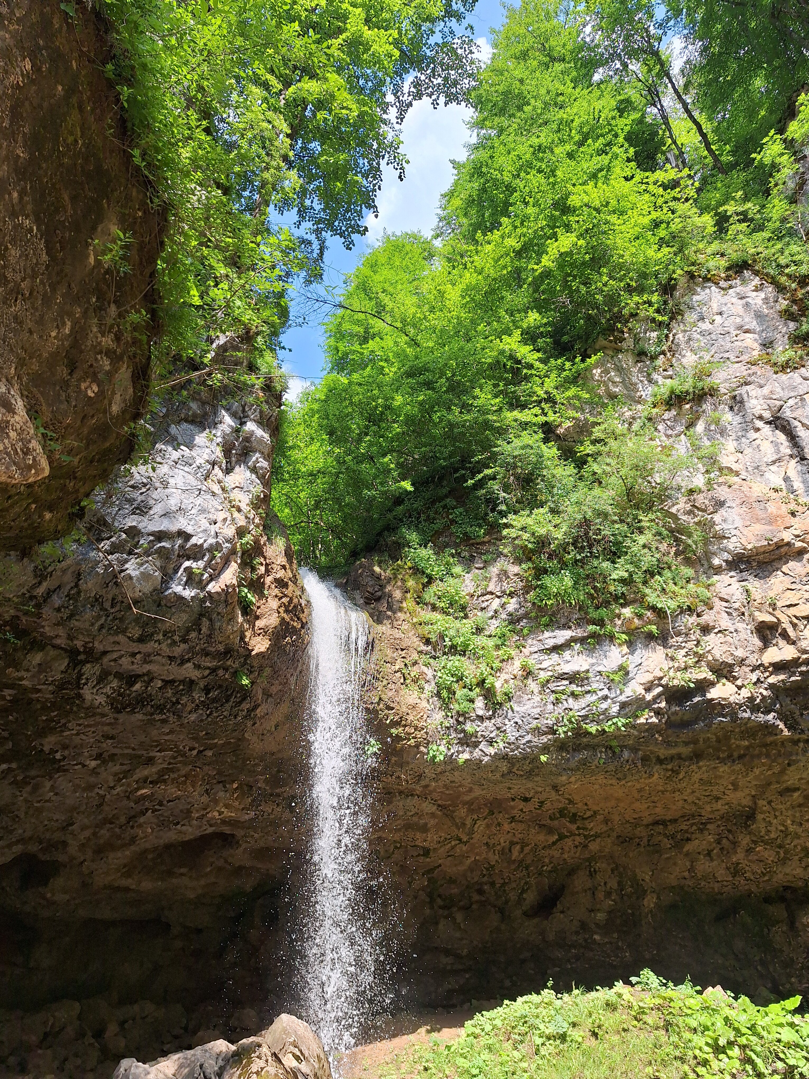 Фото Энергия Дерева