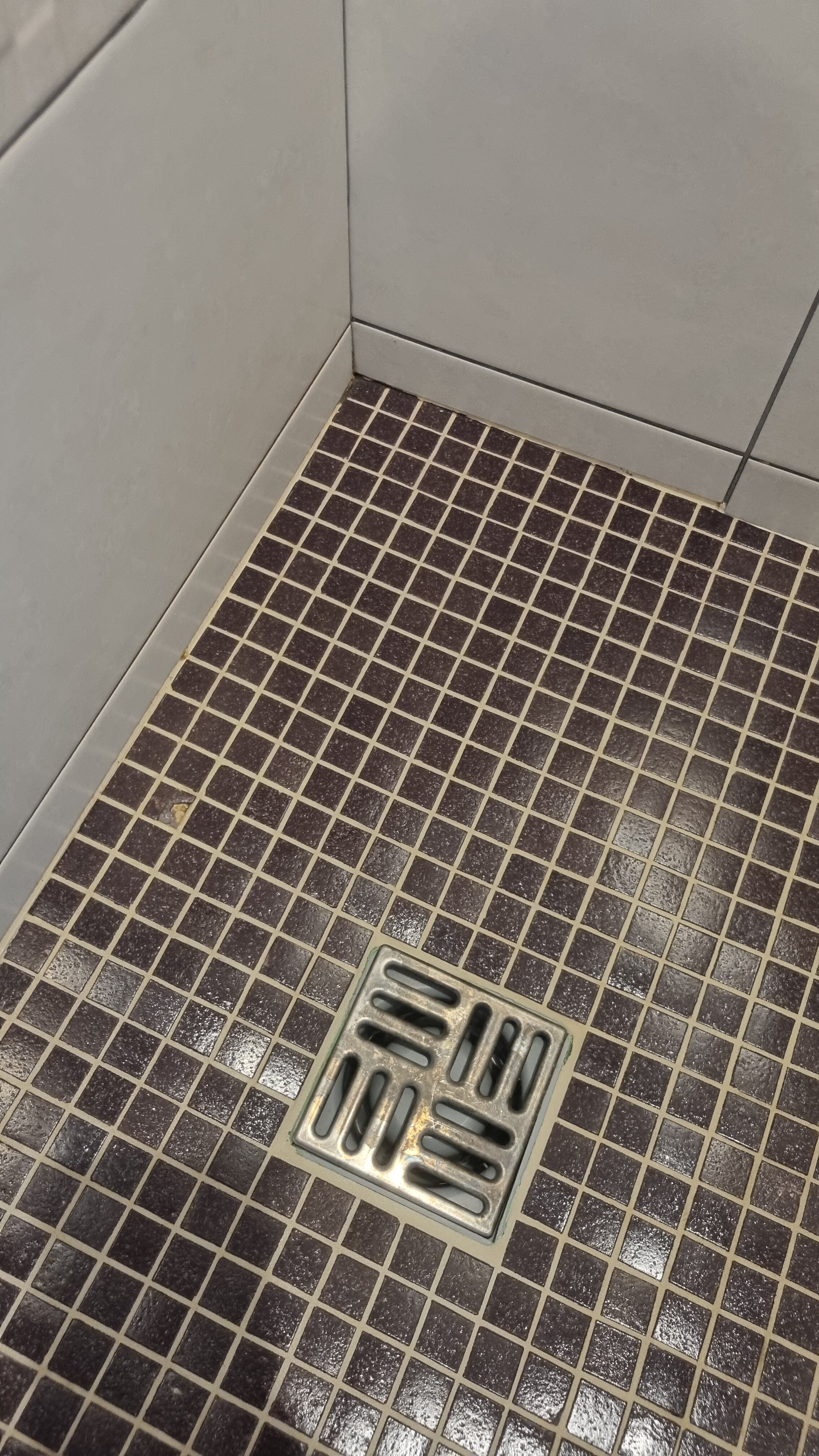 Фото Эверест