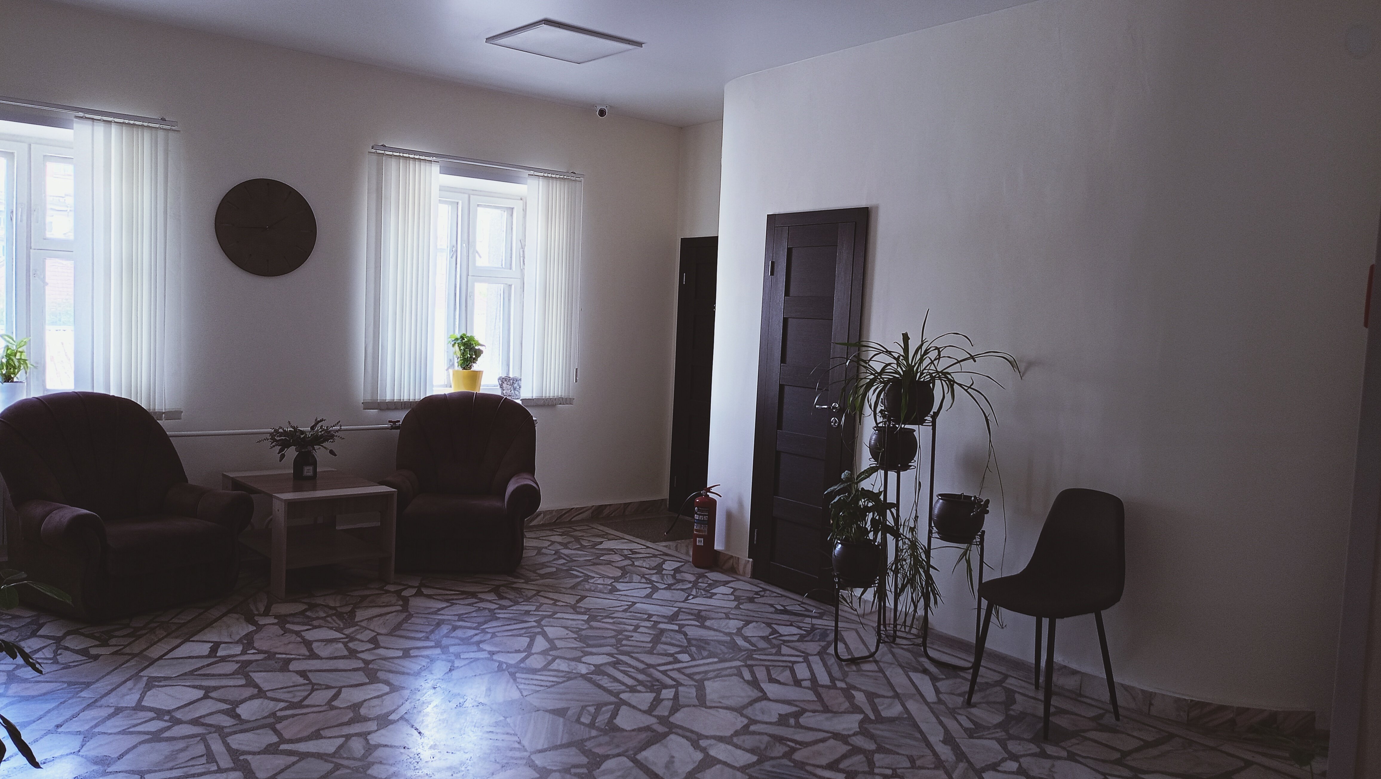 Фото Звездочка