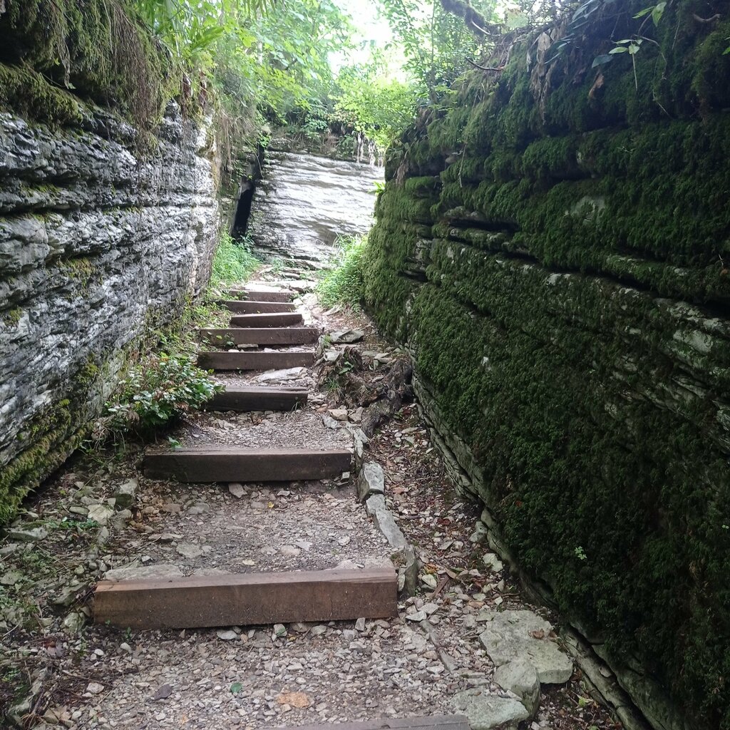 Landmark, attraction Labirint, Sochi, photo