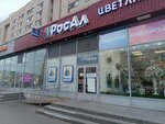 RosAl (Yaroslava Gasheka Street, 9к1) ، المشروبات الكحولية