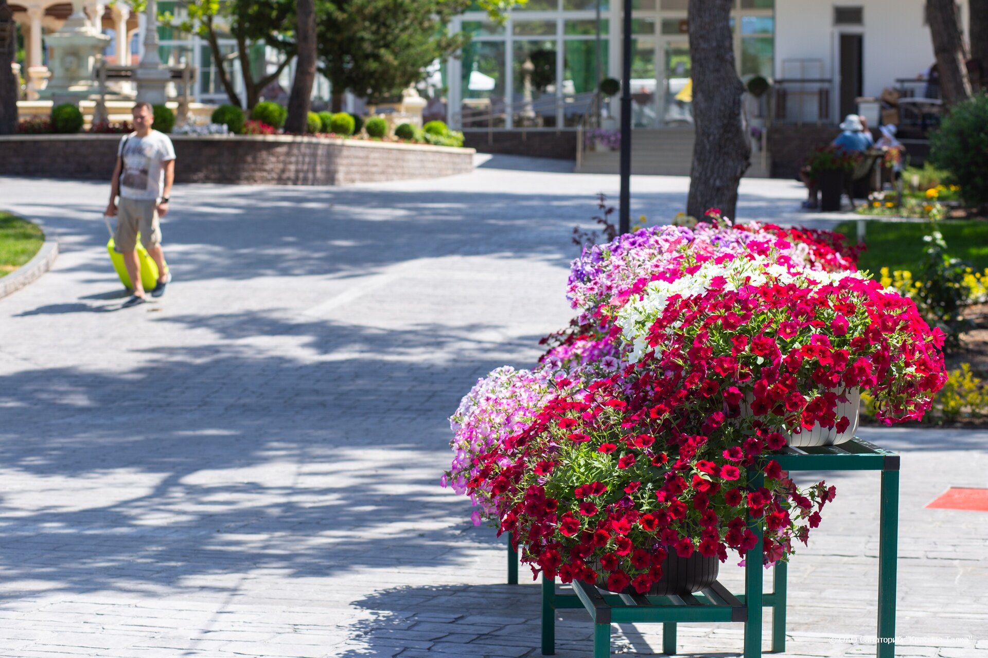 Фото Талка Village