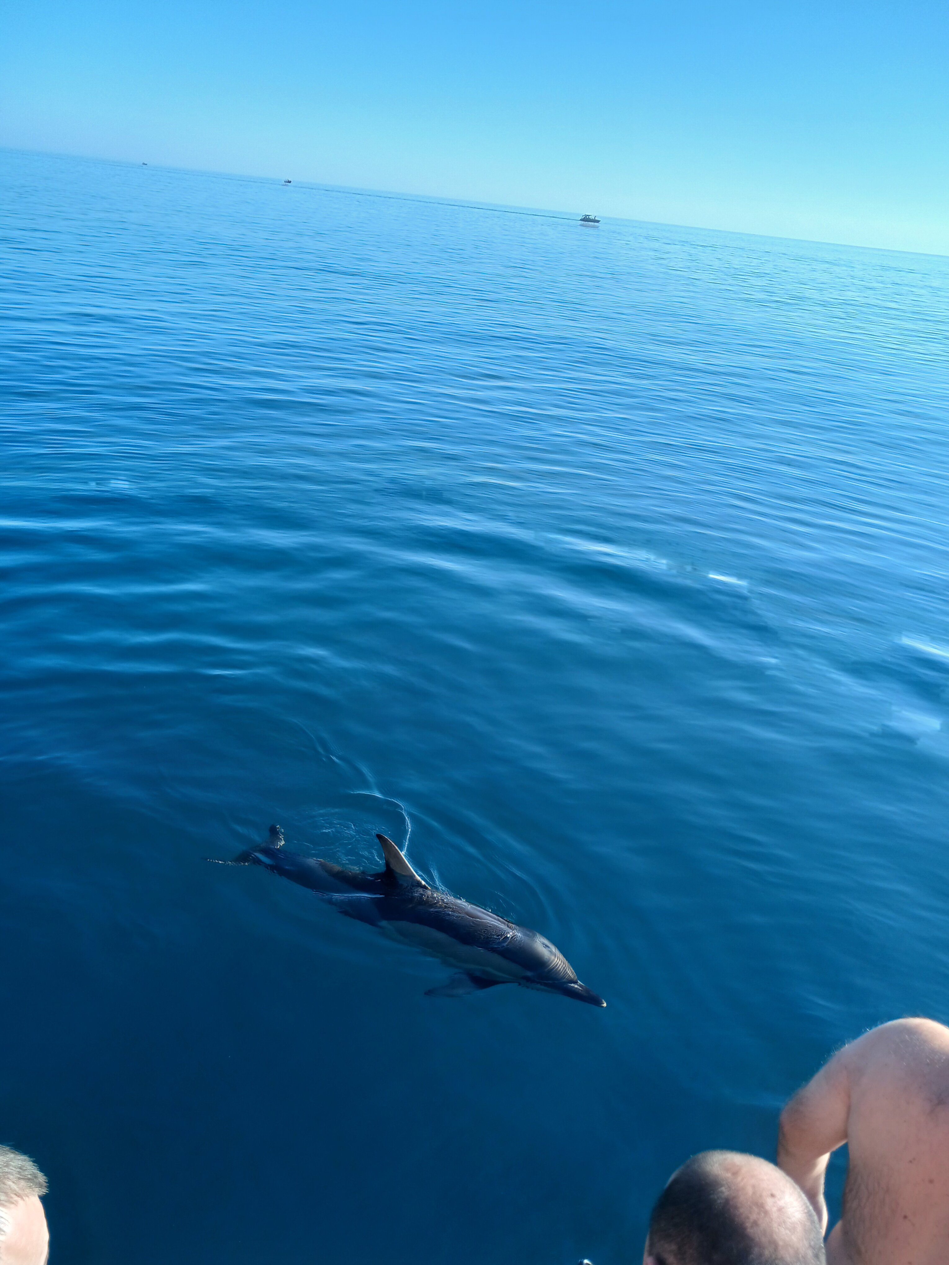 Фото Оливия