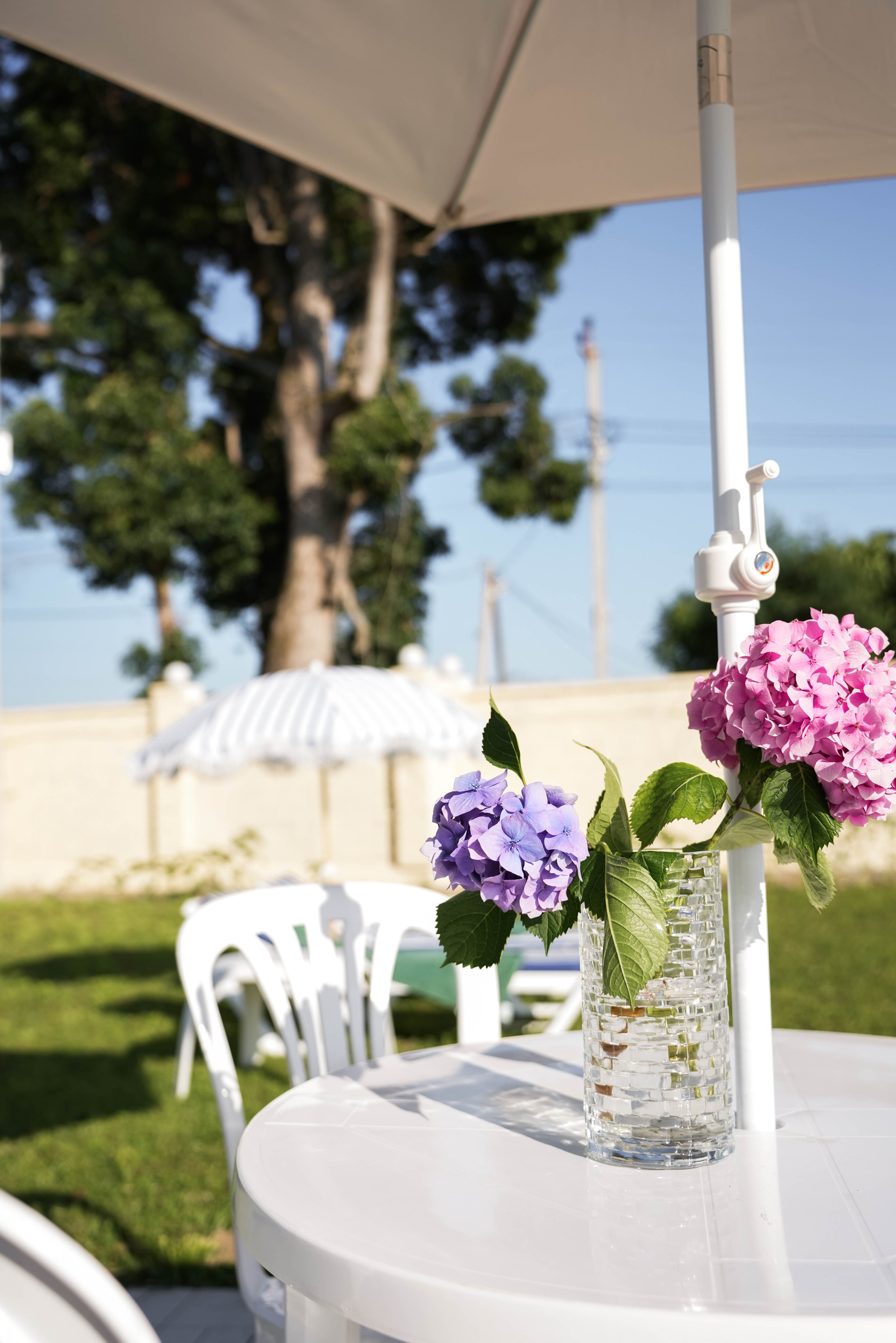 Фото Sea Village Gumista