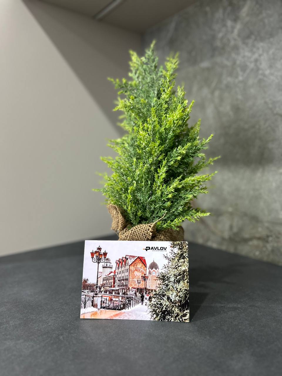 Фото Pavlov на Ольховой